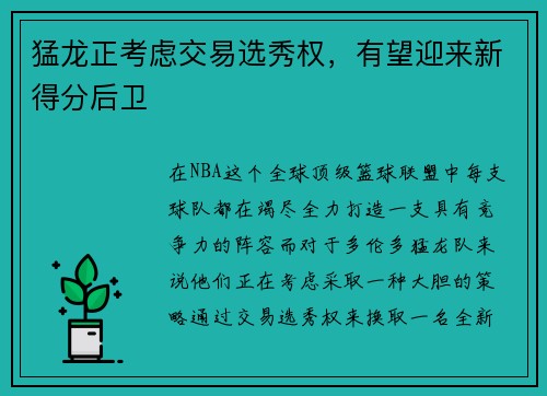 猛龙正考虑交易选秀权，有望迎来新得分后卫